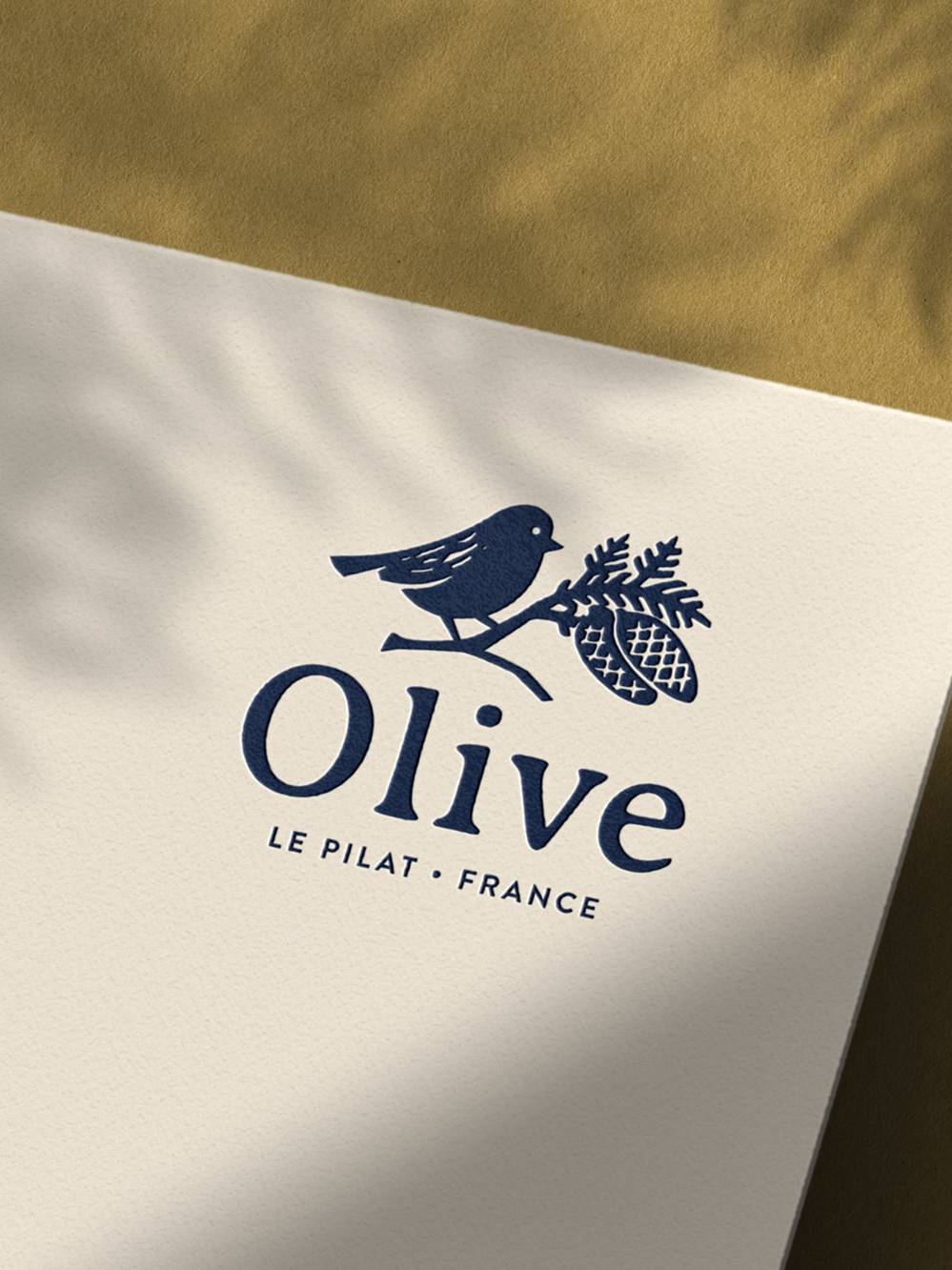 Olive Arcachon Le Pilat Bleu Juin